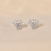 Wide Spread Earrings