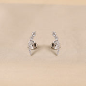 Curved Rainbow Earrings