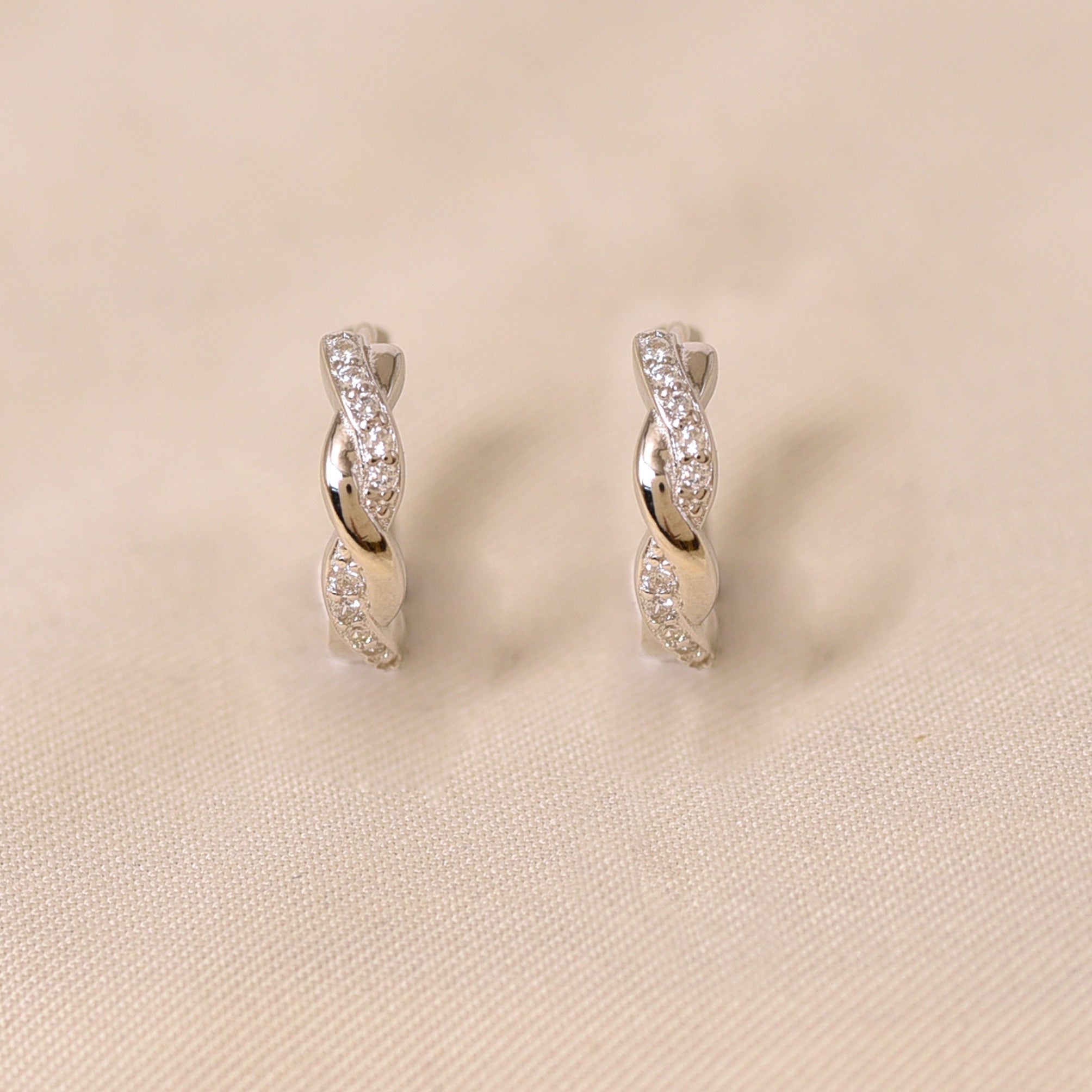 Twisted Hoops Earring