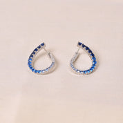 Gradient Earrings - Blue