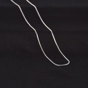 Frank Silver Chain 20"