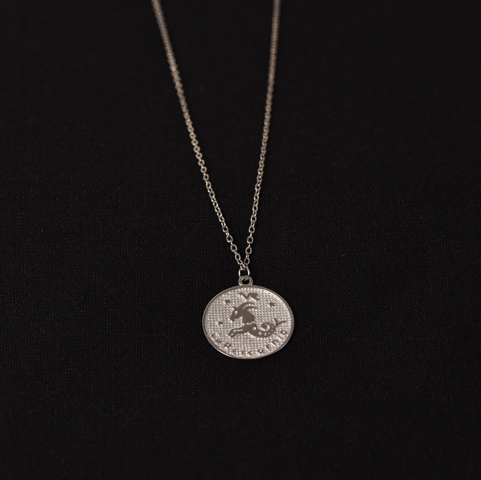 Capricorn Zodiac Necklace