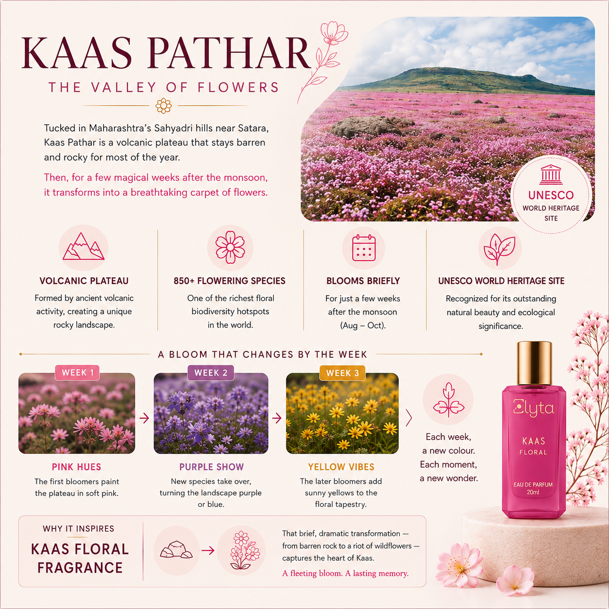 KAAS (Floral Fragrance)