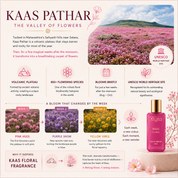 KAAS (Floral Fragrance)