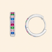 Prakriti Earrings - Mix