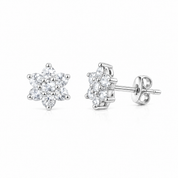 Aanya Studs Earring