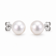DotCom Earrings