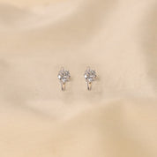 Silver Dazzle Earrings