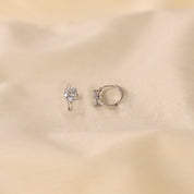 Silver Dazzle Earrings
