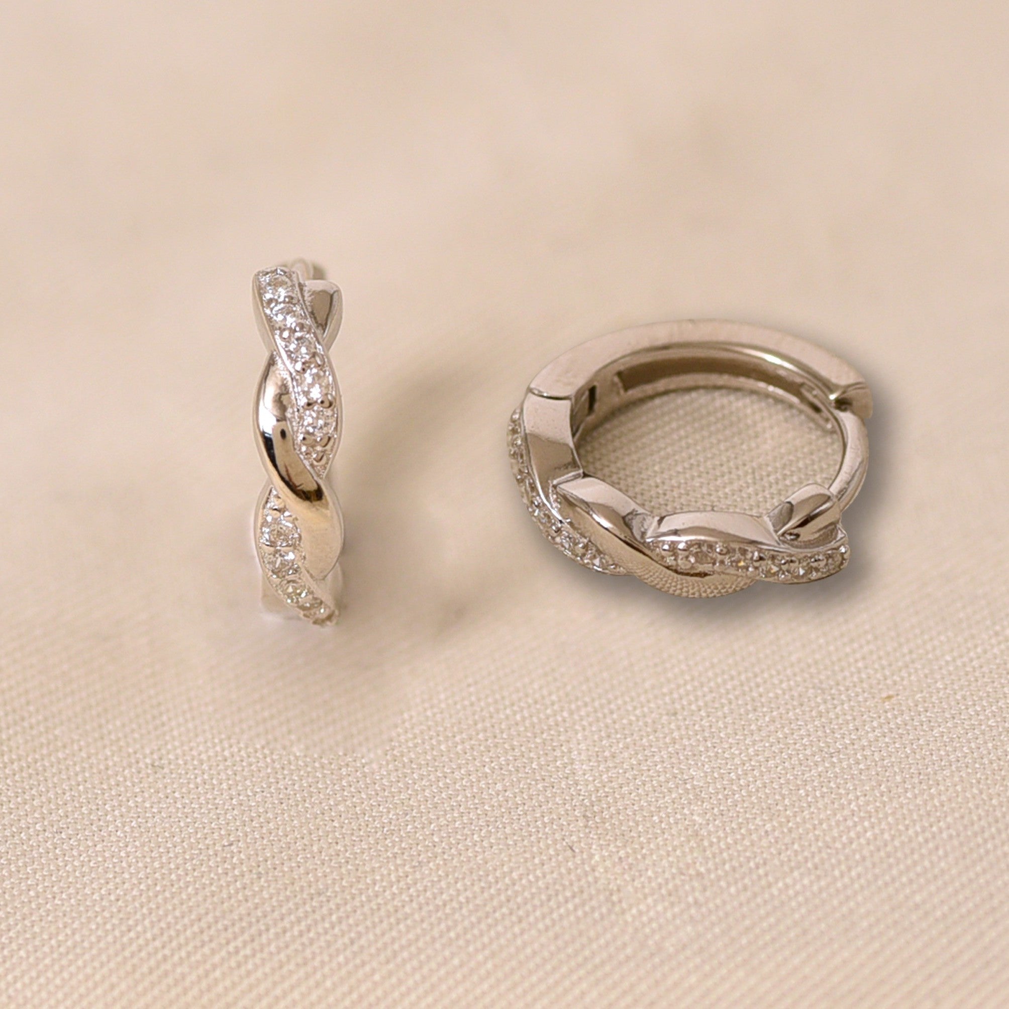 Twisted Hoops Earring