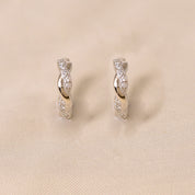 Twisted Hoops Earring