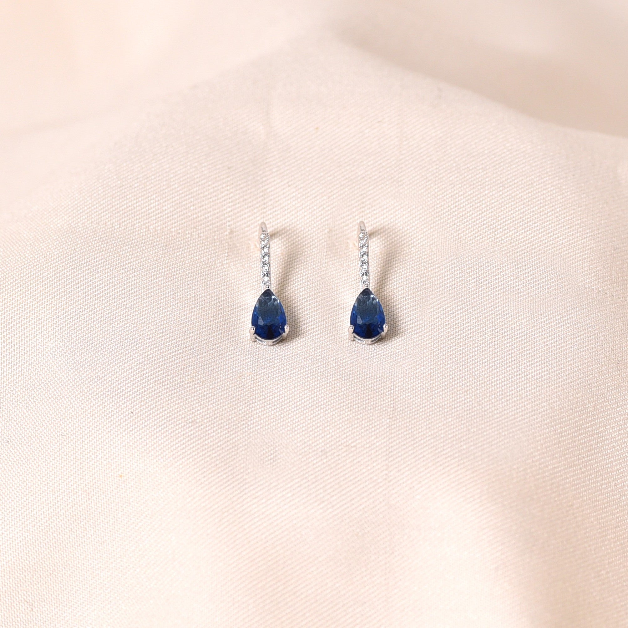 Drop Hook Earrings - Blue