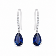 Drop Hook Earrings - Blue