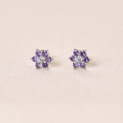Aanya Studs Earring - Purple