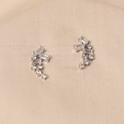 Rani Diamond Earrings