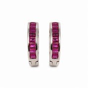 Prakriti  Earrings -Pink