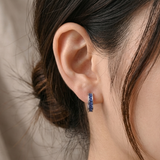 Prakriti  Earrings -Blue