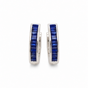Prakriti  Earrings -Blue