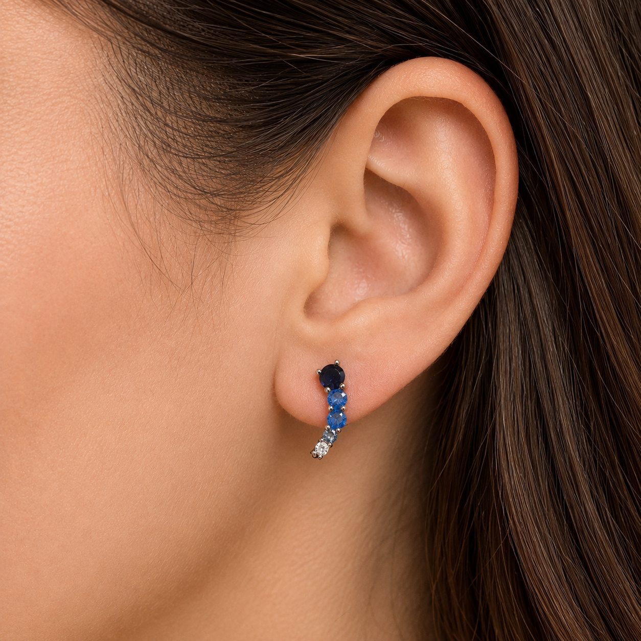 Curved Rainbow Earrings - Blue