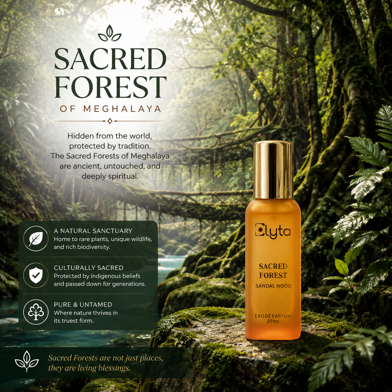 A bottle of Elyta Sacred Forest 20ml oil stands on a mossy forest floor with lush green foliage and a misty forest background. The left side features text panels describing the Sacred Forest of Meghalaya, including its natural sanctuary status, cultural sanctity, and pure, untamed nature.