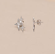 925 Sterling Silver Shining Diamond Stud Earring Causal Wear - Elyta